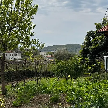 Antonia Guest house